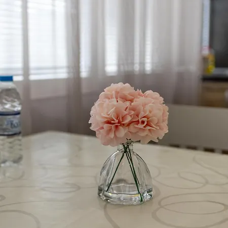 Apartment E-home *